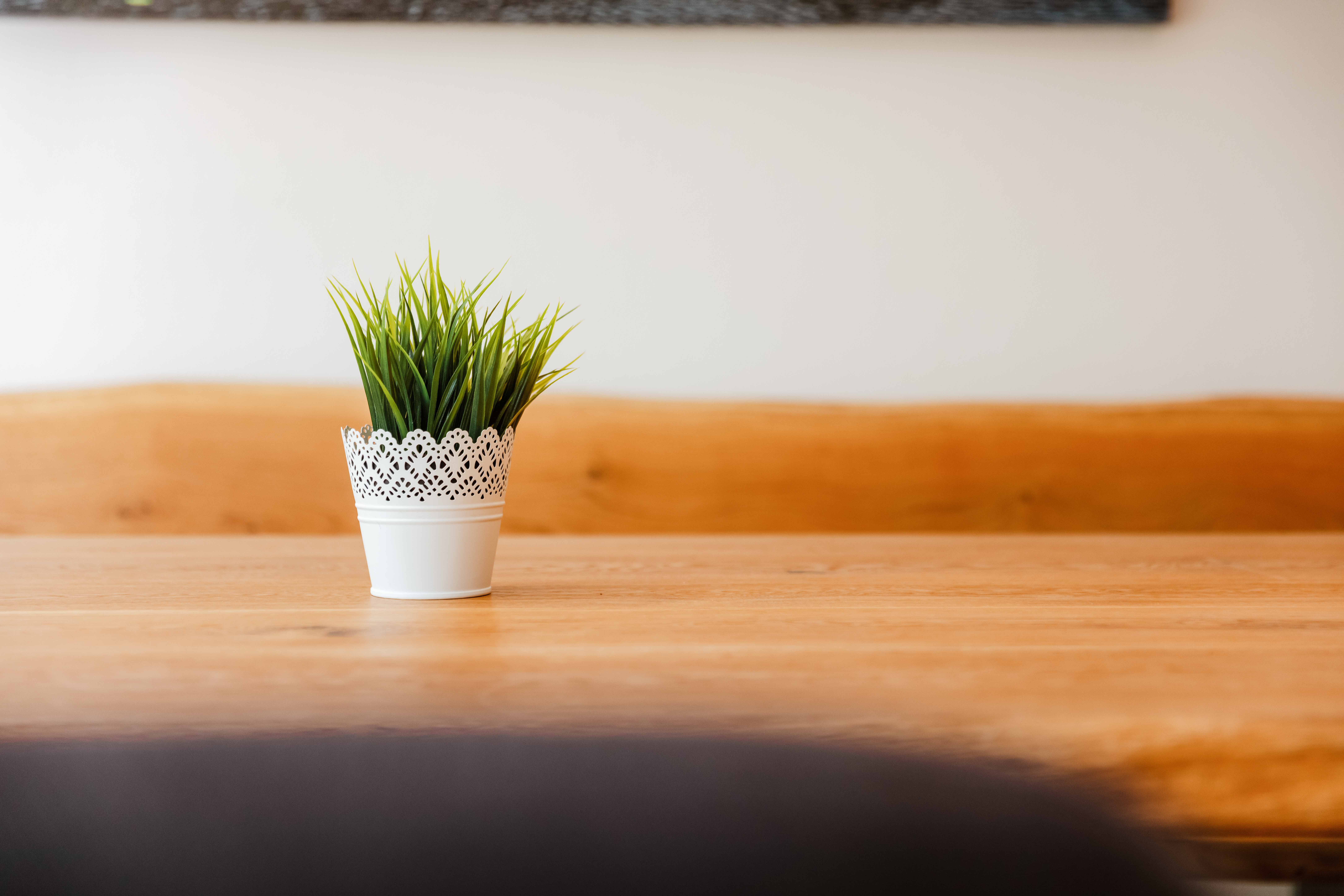 Impressionen aus der Intensivpflege WG Geborgenheit in Regen